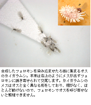 jyouhoukagakugru-pugazou.png