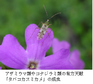 seibututekiboujyogazou.png