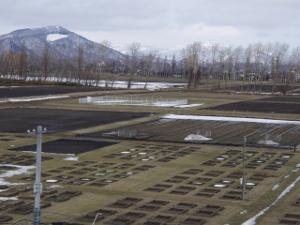 消雪日翌日の4月9日の様子