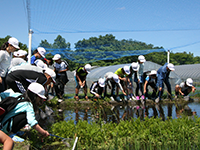 自然観察会の様子