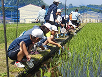 自然観察会の様子