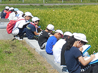 生育観察会の様子