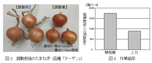 図3 調製前後のたまねぎ(品種「ターザン」)、図4 作業能率