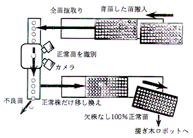 図1.果菜類用セルトレイ苗補填装置