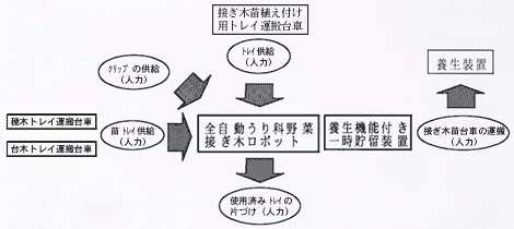 接ぎ木作業システム