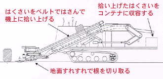 はくさい収穫機の構造概要