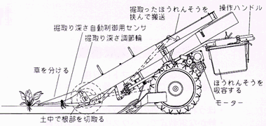 非結球性葉菜収穫機