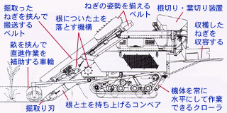 ねぎ収穫機の構造