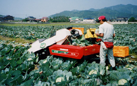 調製装置を利用しての収穫作業