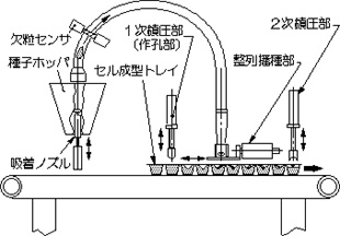 構造