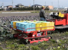 キャベツ収穫機との組み合わせ作業(TW2型)