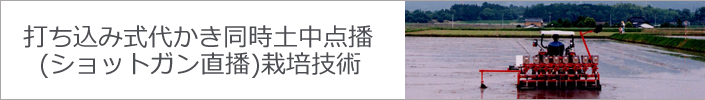 打ち込み式代かき同時土中点播(ショットガン直播)栽培技術