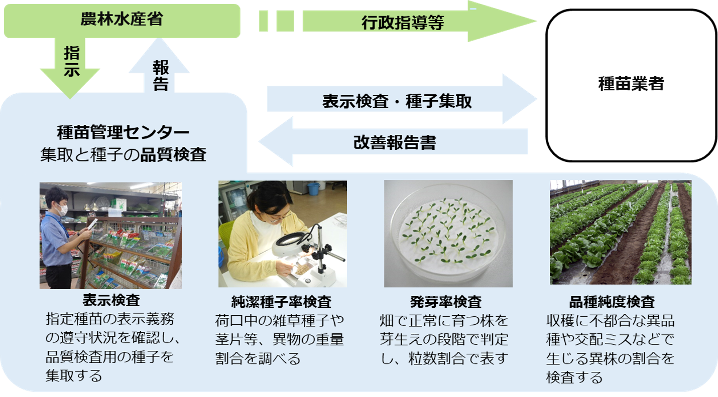 種苗管理センター:農作物の種苗検査 | 農研機構