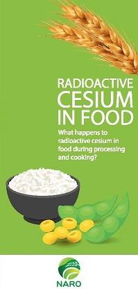 Pamphlet Radioactive Cesium in Food English Front cover