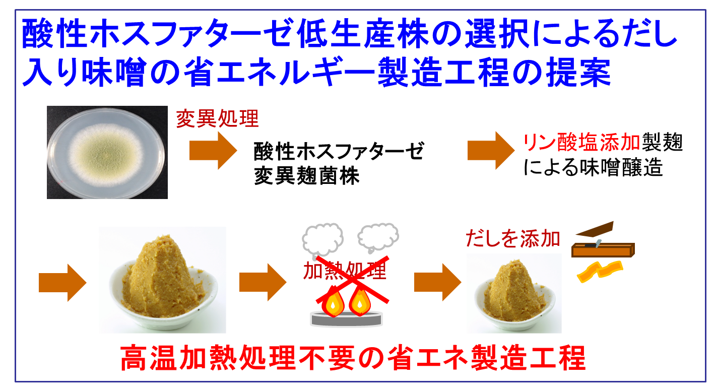 【画像】賛成ホスファターゼ訂正さん株の選択によるだし入り味噌の省エネルギー製造工程の提案