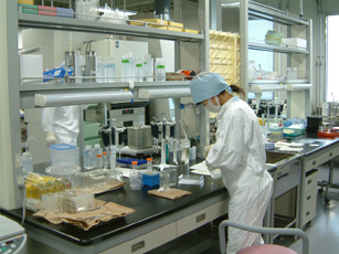 BSL3施設内実験室での実験風景