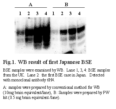 Fig.1