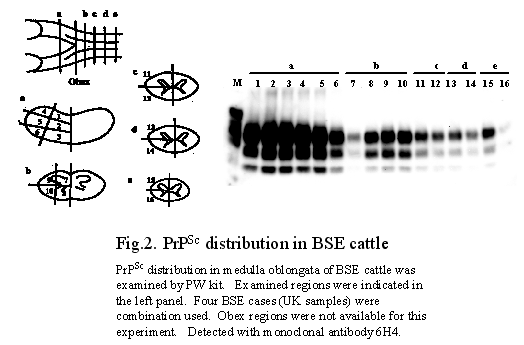 Fig.2