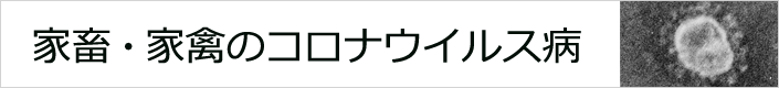 家畜・家禽のコロナウイルス病