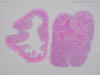 腸間膜リンパ節、豚、約6カ月齢