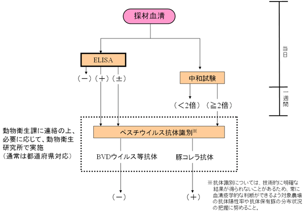 図11. 抗体検査のフローチャート