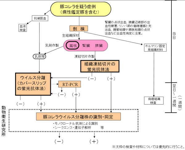 図9.抗原検査のフローチャート