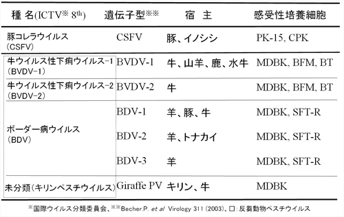 表2.ウイルスの分類と宿主域