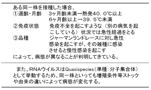 表4.豚熱の病態に及ぼす要因