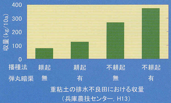 重粘度の排水不良田における収量