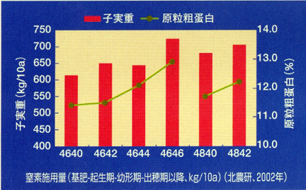 窒素施用量