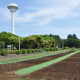 資源作物の定植作業が続いており、花芽や実を付けた永年作物もあります。