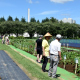 農研機構の夏休み公開が行われました。