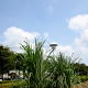 ようやく梅雨が明け、夏本番です。