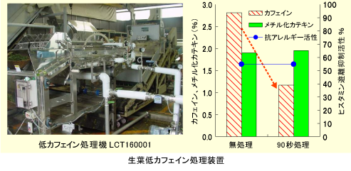 生葉低カフェイン処理装置