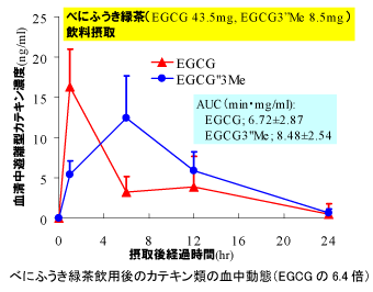 べにふうき緑茶飲用後のカテキン類の血中動態