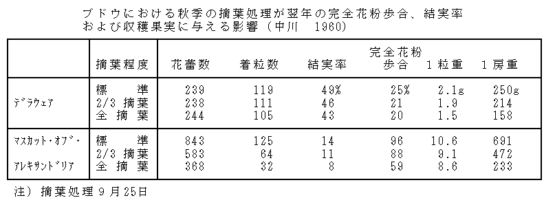 表.ブドウにおける秋期の摘葉処理が翌年の完全花粉歩合、結実率、および収穫果実に与える影響(中川 1960)