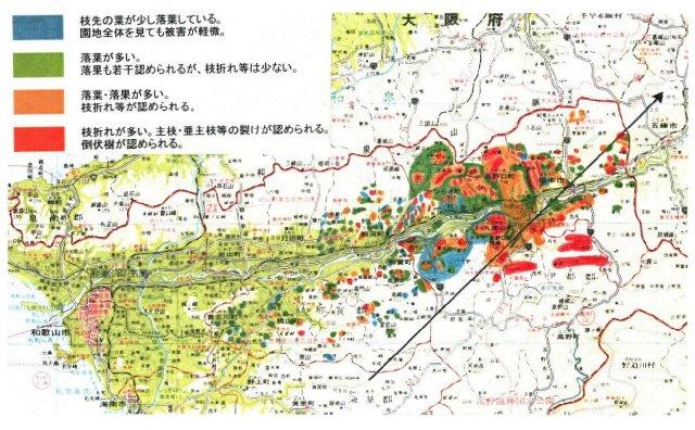 図2 台風7号の進路(→)と和歌山県のカキ園の被害状況(和歌山県、1998年)