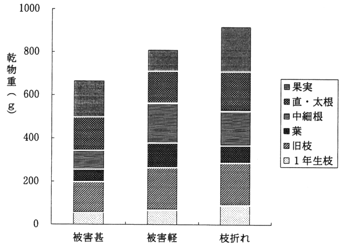 図5 カキ樹における被害程度別器官別乾物重(奈良県、1998年)
