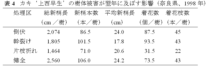 表4.カキ‘上西早生’の樹体被害が翌年に及ぼす影響(奈良県、1998年)