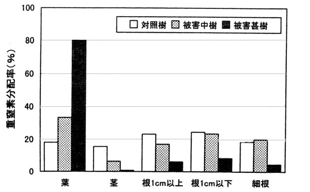 図6 秋季における重窒素土壌施用カキ樹の器官別分配