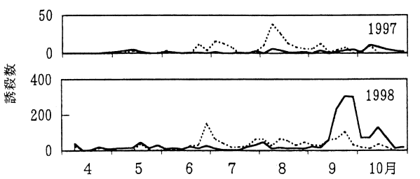 図9 予察灯におけるカメムシ類の誘殺消長(和歌山県、1998年)
