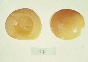 モモ品種「錦」のシロップ漬け
