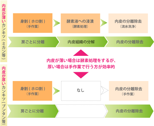 カンキツの内皮の厚さによる処理工程の違い