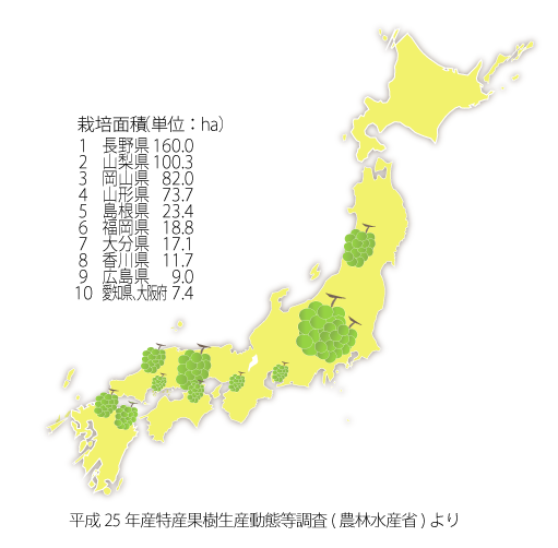 平成25年産特産果樹生産動態等調査より(農林水産省)