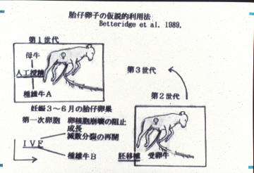 カナダの研究者の提案画像