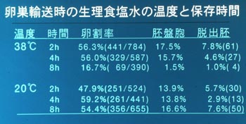 卵巣輸送時の生理食塩水の温度と保存時間