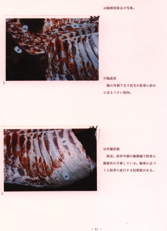 さまざまな筋の写真