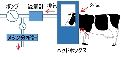 ヘッドボックス法イメージ図