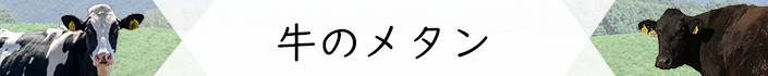 牛メタン研究