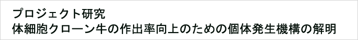 02:体細胞クローン牛の作出率向上のための個体発生機構の解明